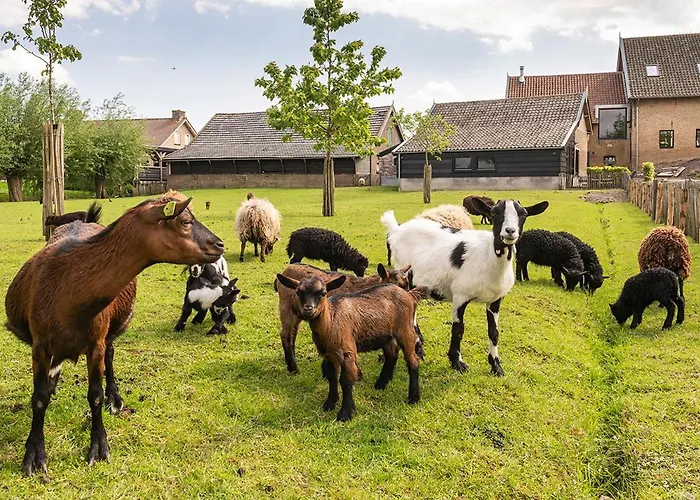 In De Polder Prázdninový dům *