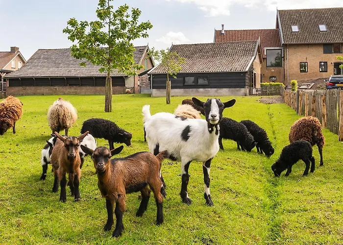 In De Polder Oud-Alblas