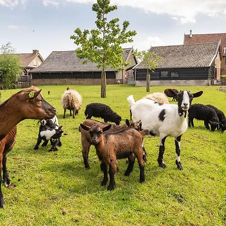 In De Polder Hébergement de vacances *