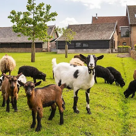 In De Polder Oud-Alblas