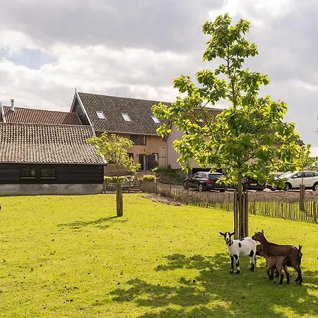 In De Polder Oud-Alblas